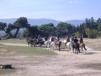Excursiones: Servicios de Equitación Peluca Excursiones: Servicios de Equitación Peluca