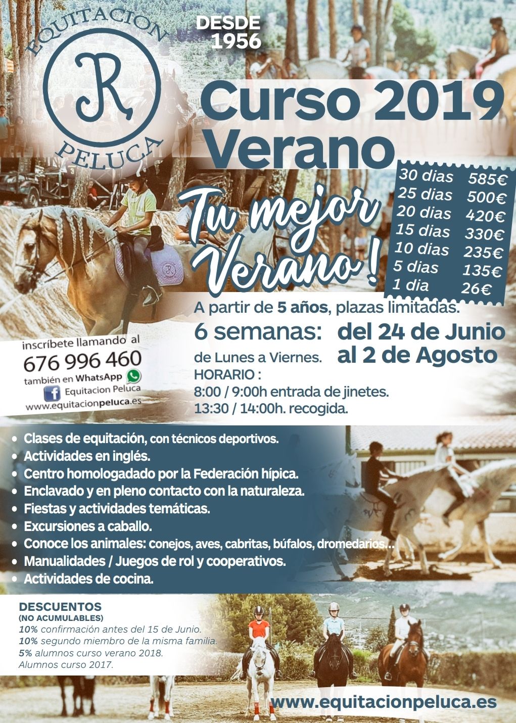 Cursos de verano 2019: Servicios de Equitación Peluca Cursos de verano 2019: Servicios de Equitación Peluca