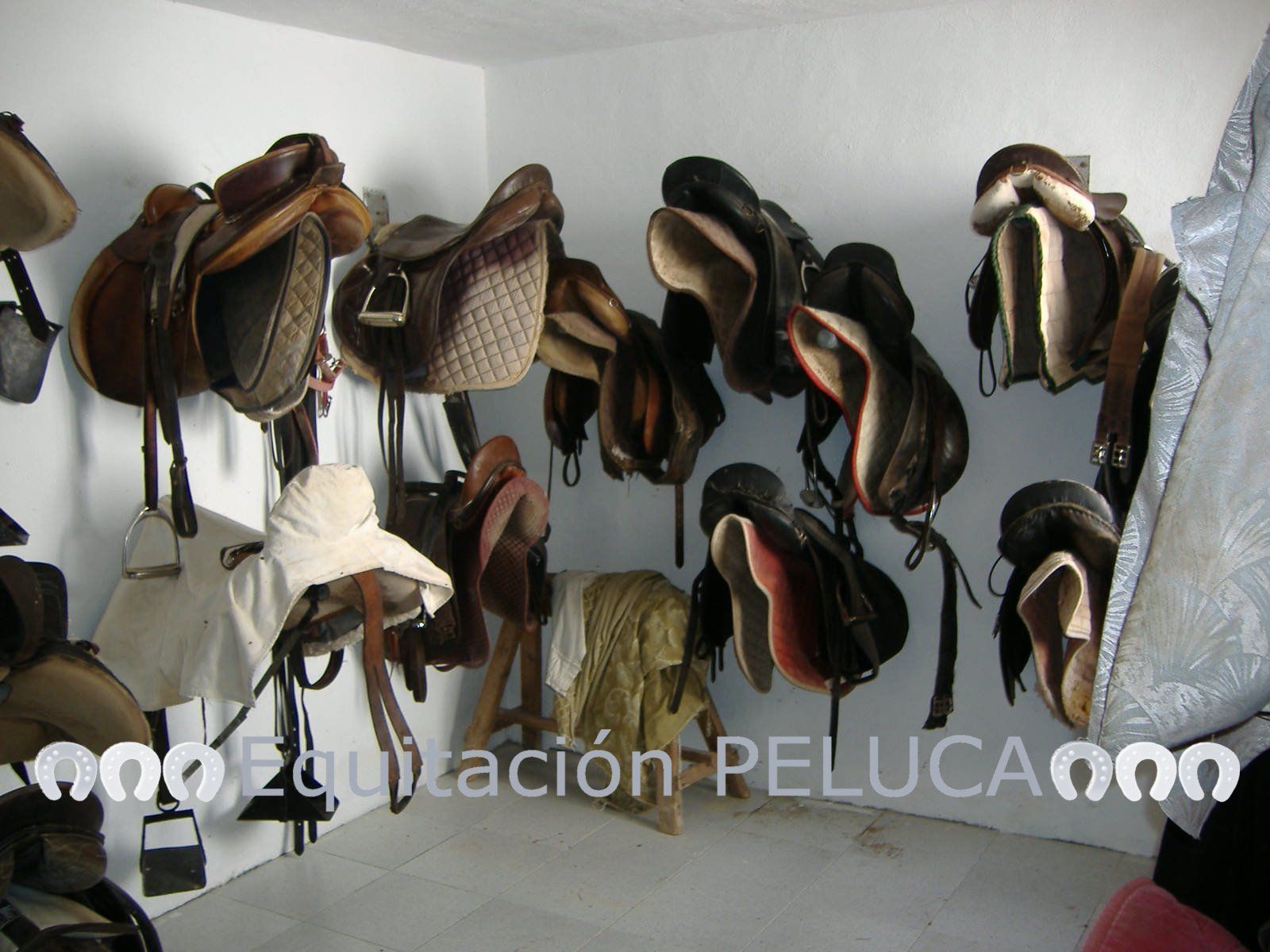 Pupilaje: Servicios de Equitación Peluca Pupilaje: Servicios de Equitación Peluca