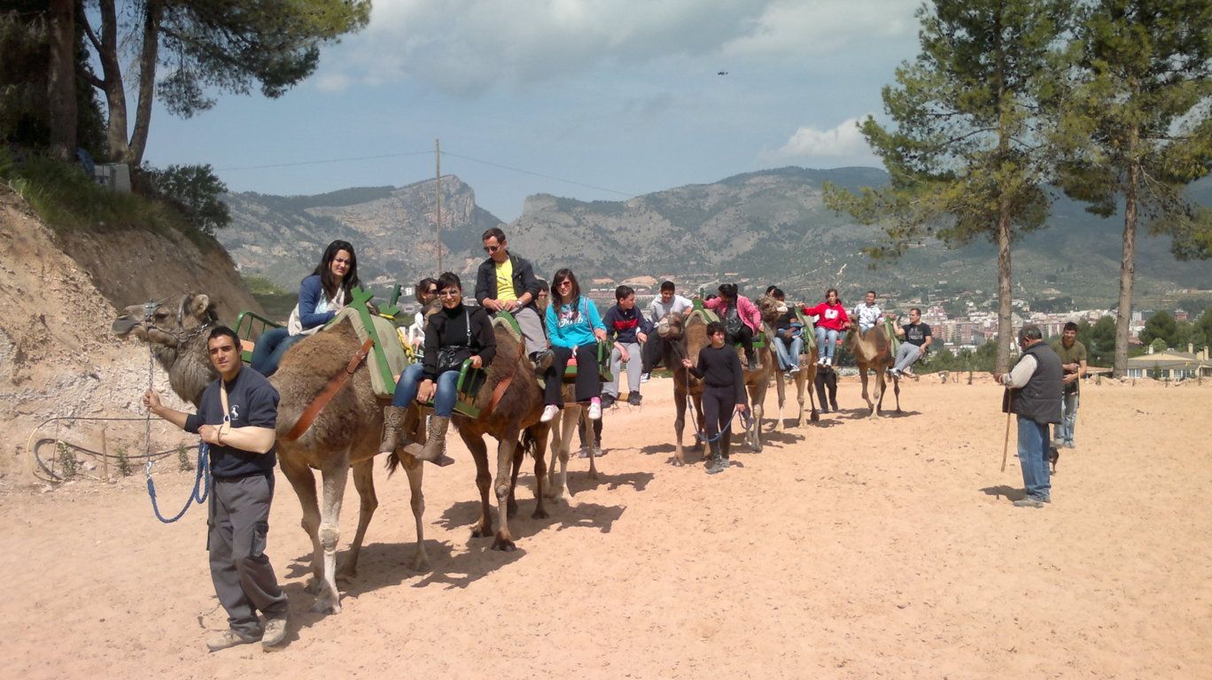 Excursiones: Servicios de Equitación Peluca Excursiones: Servicios de Equitación Peluca