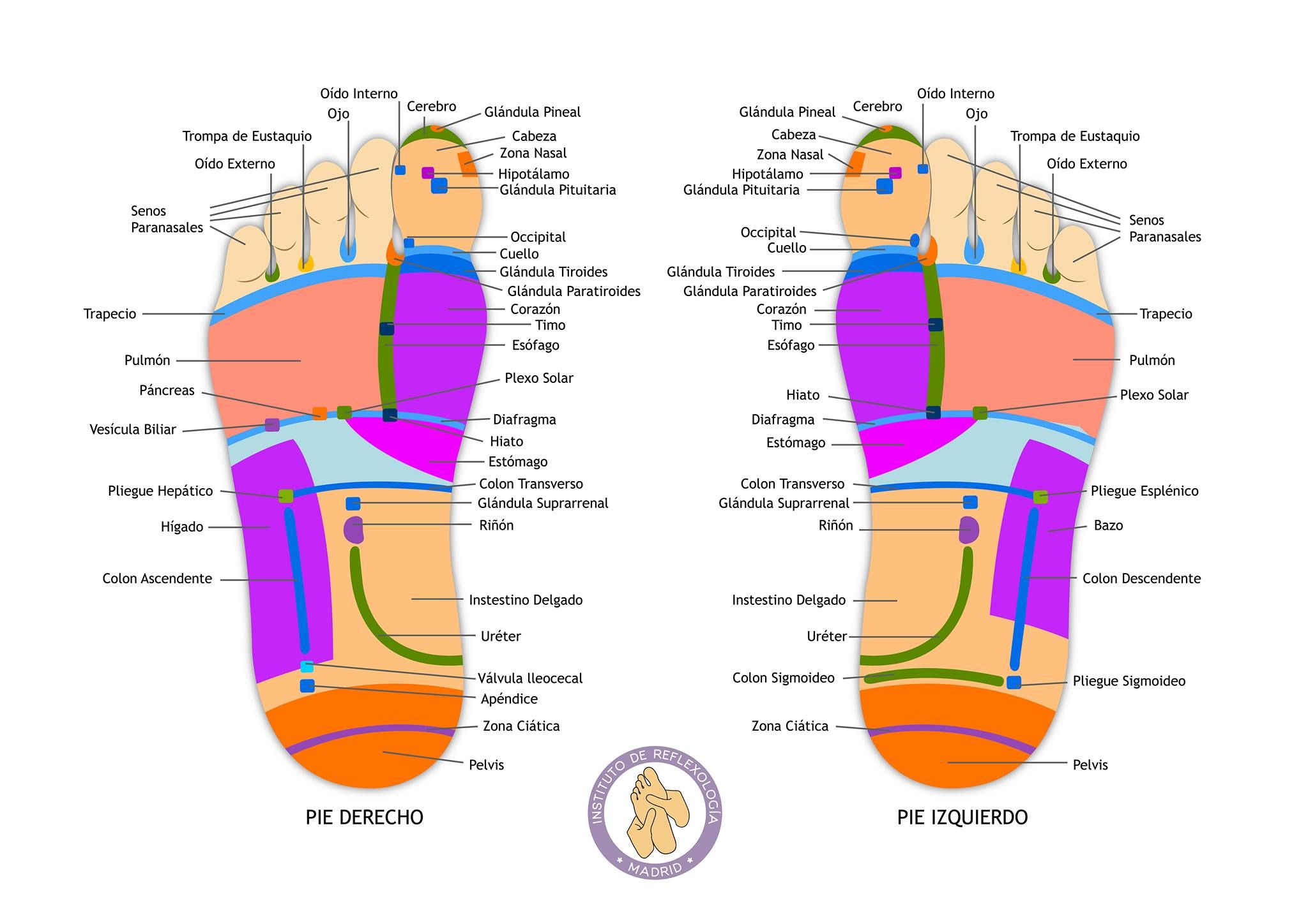 Reflexología podal: Servicios de Valkirias Belleza y Bienestar Reflexología podal: Servicios de Valkirias Belleza y Bienestar