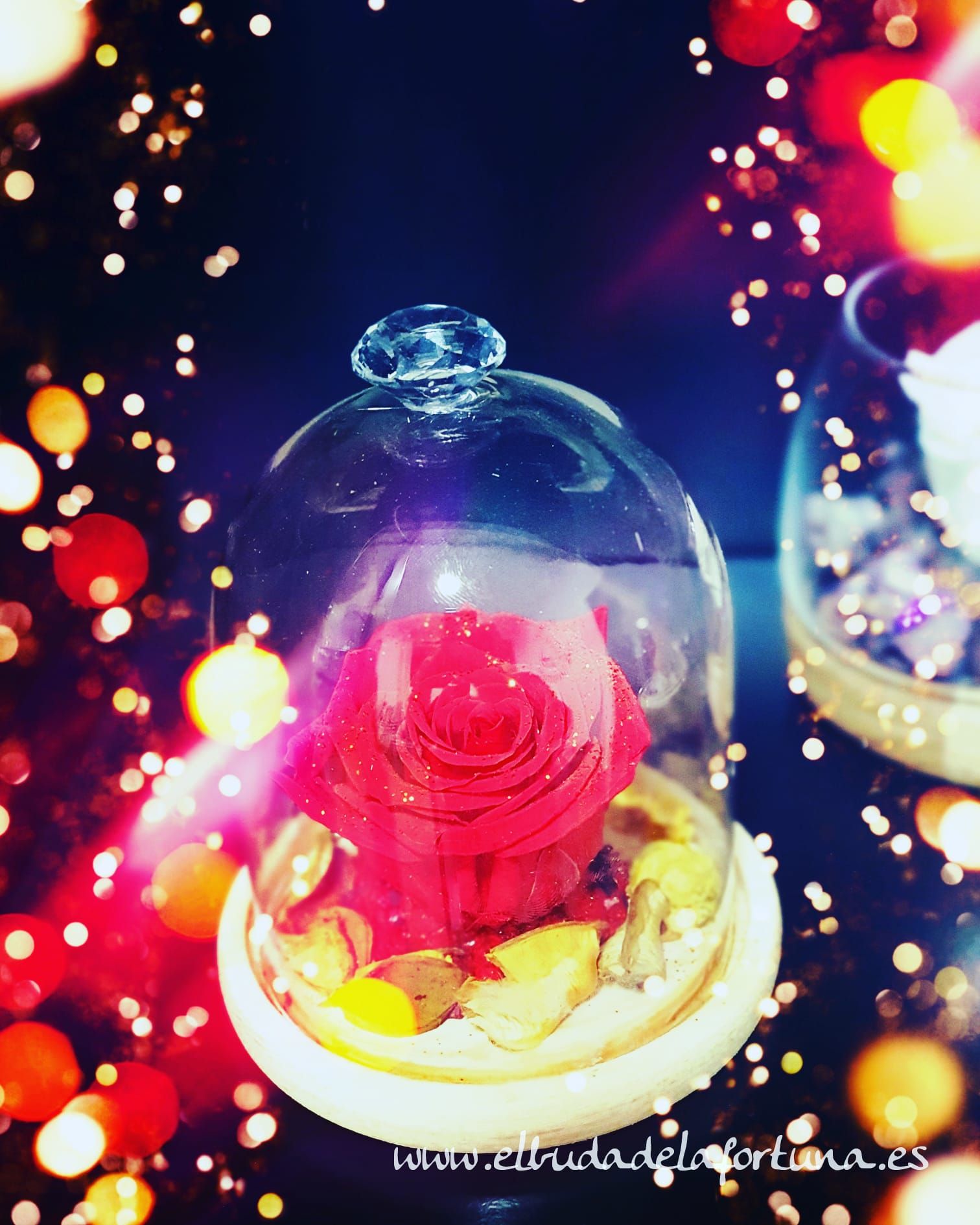 Rosas Eternas: Productos y servicios de El Buda de la Fortuna Rosas Eternas: Productos y servicios de El Buda de la Fortuna