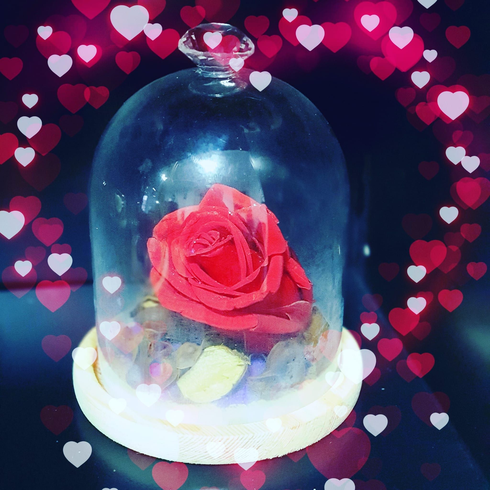Rosas Eternas: Productos y servicios de El Buda de la Fortuna Rosas Eternas: Productos y servicios de El Buda de la Fortuna