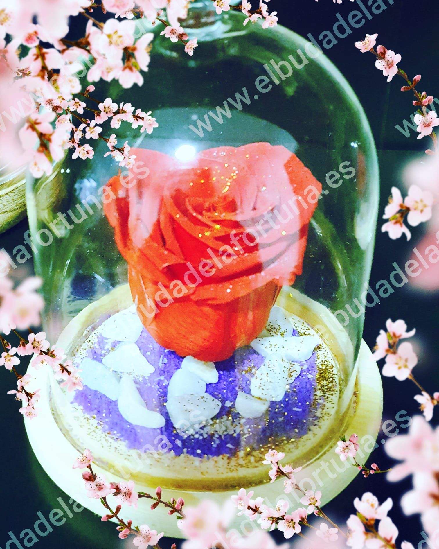 Rosas Eternas: Productos y servicios de El Buda de la Fortuna Rosas Eternas: Productos y servicios de El Buda de la Fortuna