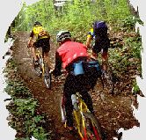 Mountain Bike: Catálogo de Sancho García Mountain Bike: Catálogo de Sancho García