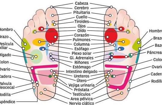 Hidrolinfa: Tratamientos de Centro de belleza y medicina estética Lucy Lara Hidrolinfa: Tratamientos de Centro de belleza y medicina estética Lucy Lara
