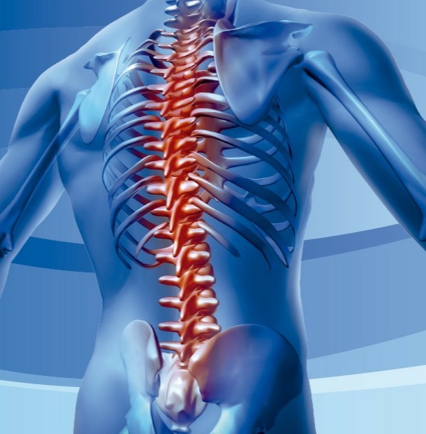 Fisioterapia reumatica Fisioterapia reumatica