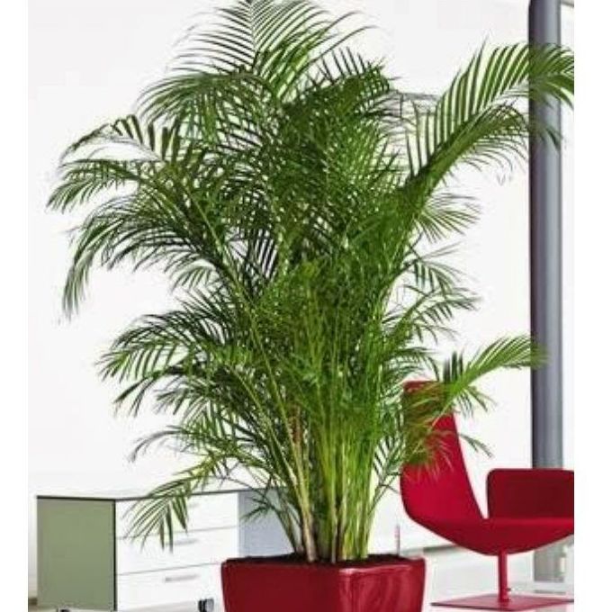 Riego : Productos y servicios de AQUAPLANT DISSENY VERD, S.L. Riego : Productos y servicios de AQUAPLANT DISSENY VERD, S.L.