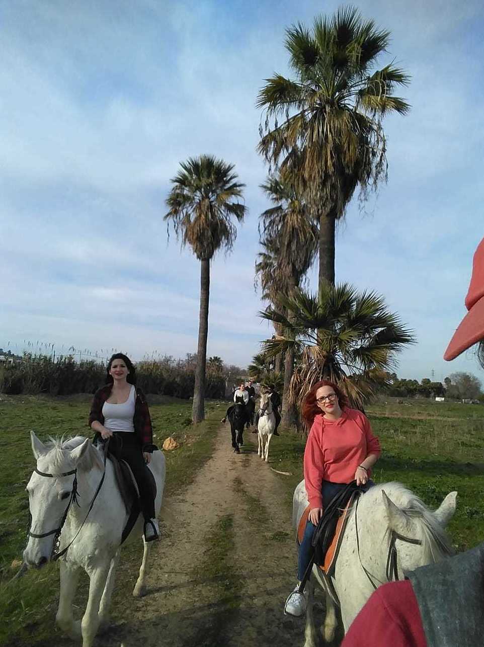 Paseos a caballo Sevilla