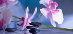 Reiki con Flores de Bach: Productos y Servicios de Suntra Terapias Reiki con Flores de Bach: Productos y Servicios de Suntra Terapias