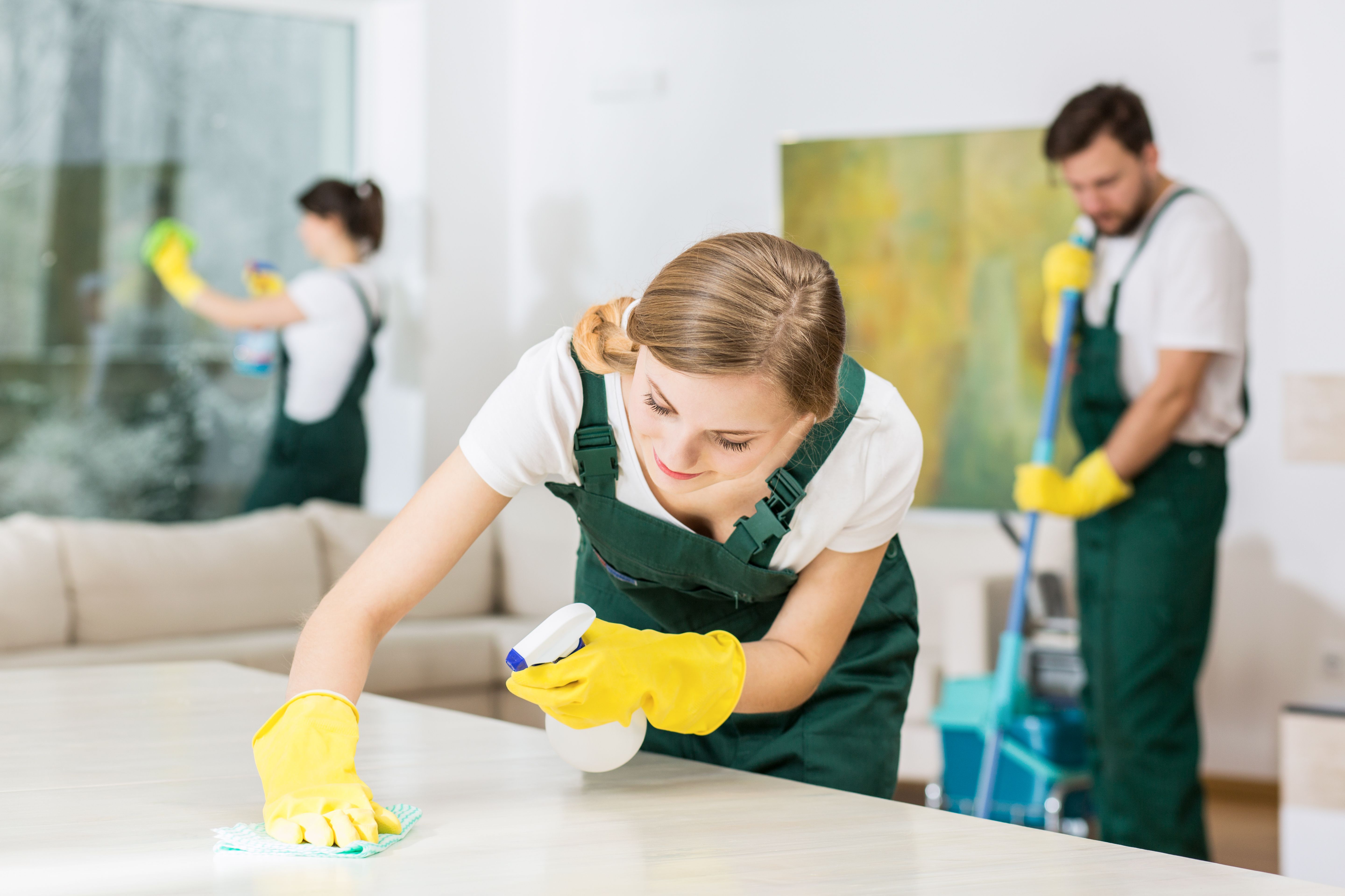 Limpieza del hogar: Servicios de Servineteja Limpieza del hogar: Servicios de Servineteja