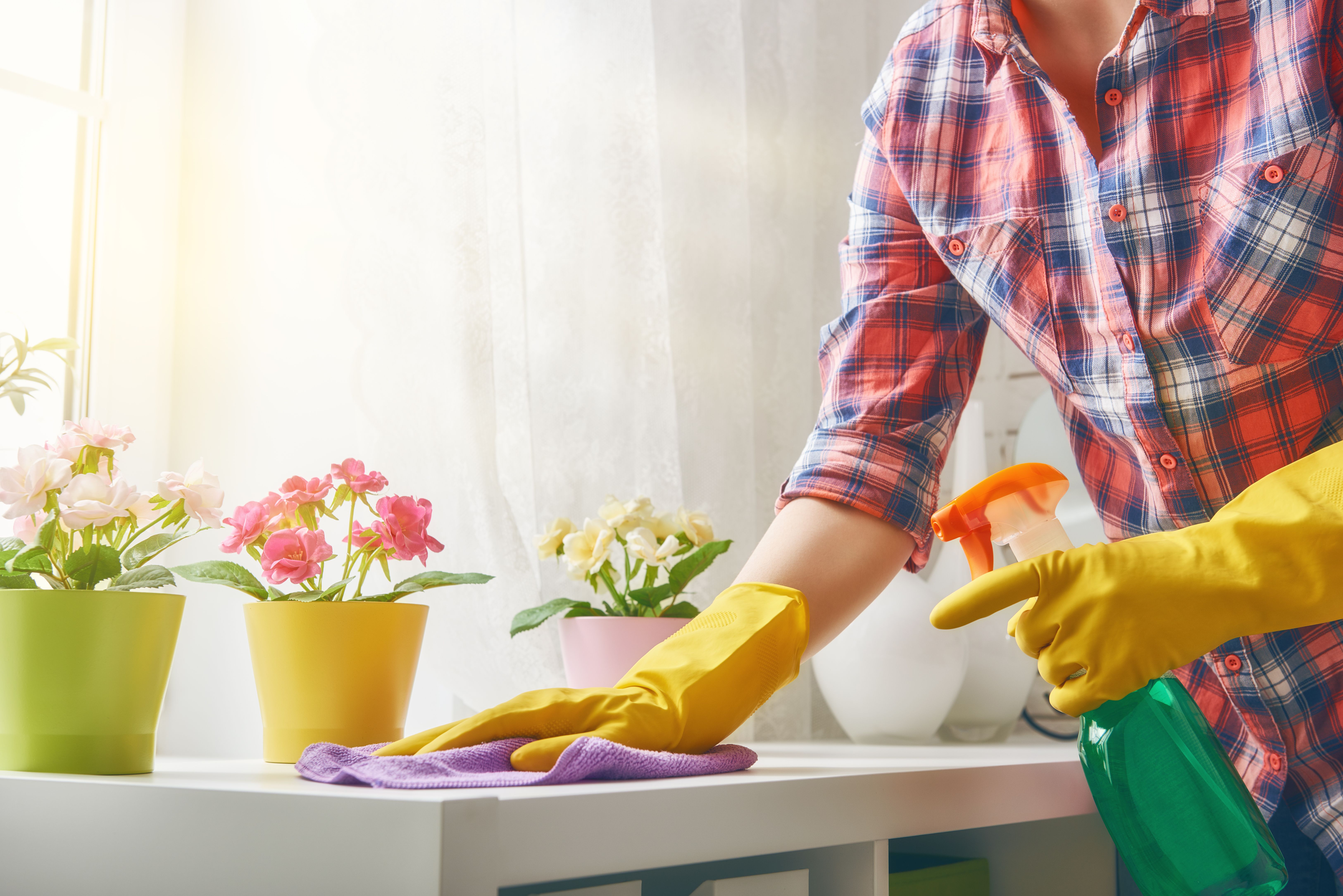 Limpieza del hogar: Servicios de Servineteja Limpieza del hogar: Servicios de Servineteja