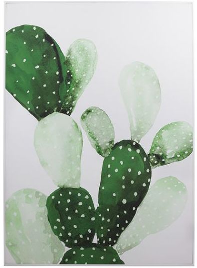 Cuadros de cactus Cuadros de cactus