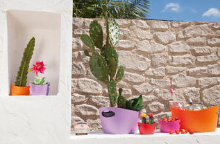 Koziol: Tienda online de COSCO. Tel 928988528 Koziol: Tienda online de COSCO. Tel 928988528