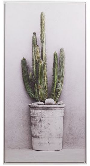 Cuadros de cactus Cuadros de cactus