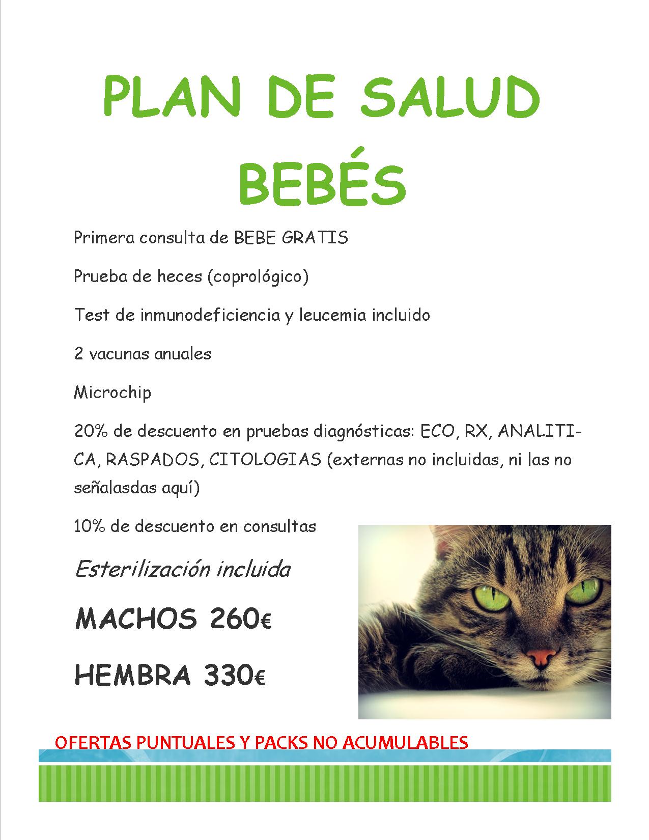 PLANES DE SALUD PARA TODOS EN VALLECAS: Servicios y ofertas de Clínica Veterinaria Dcontreras PLANES DE SALUD PARA TODOS EN VALLECAS: Servicios y ofertas de Clínica Veterinaria Dcontreras