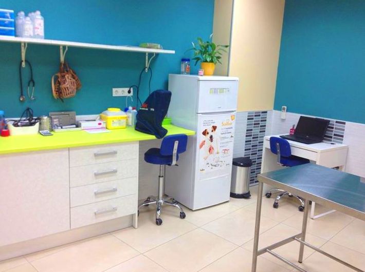 Consulta exclusiva para perros Consulta exclusiva para perros