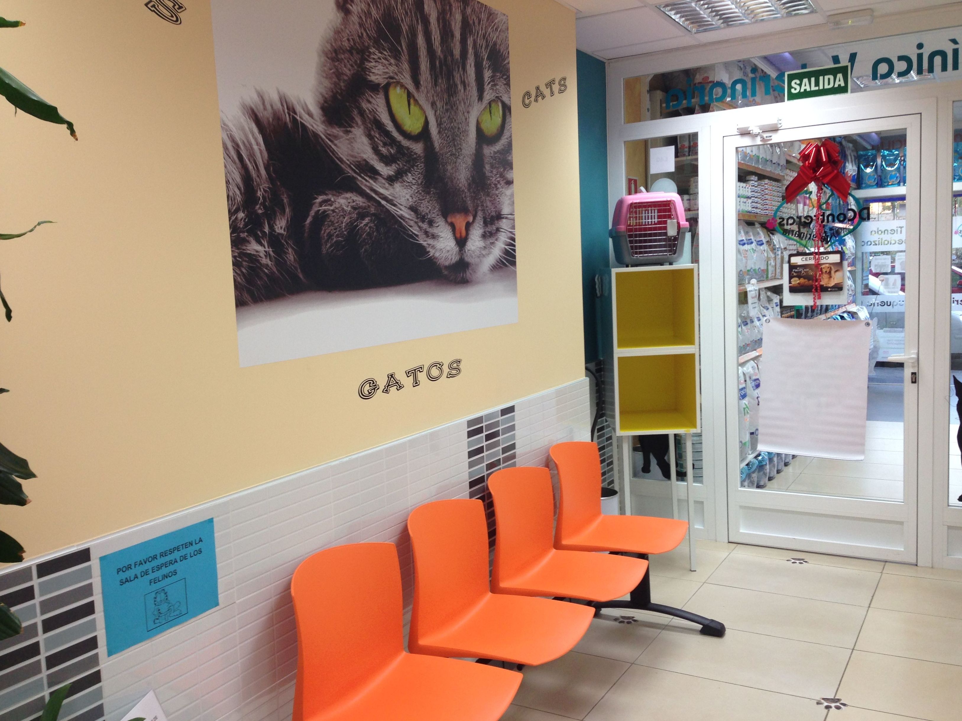 Sala de espera exclusiva para gatos Sala de espera exclusiva para gatos