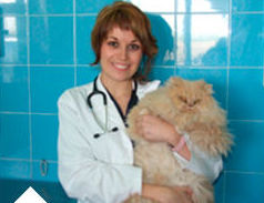 Clínica veterinaria en Vallecas