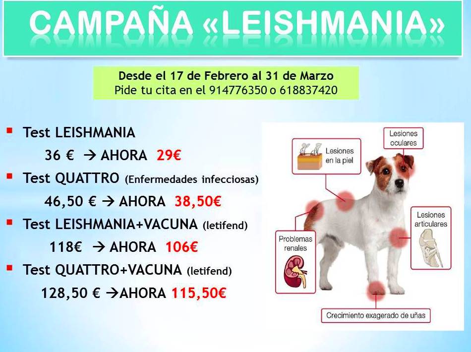 Leishmania Leishmania