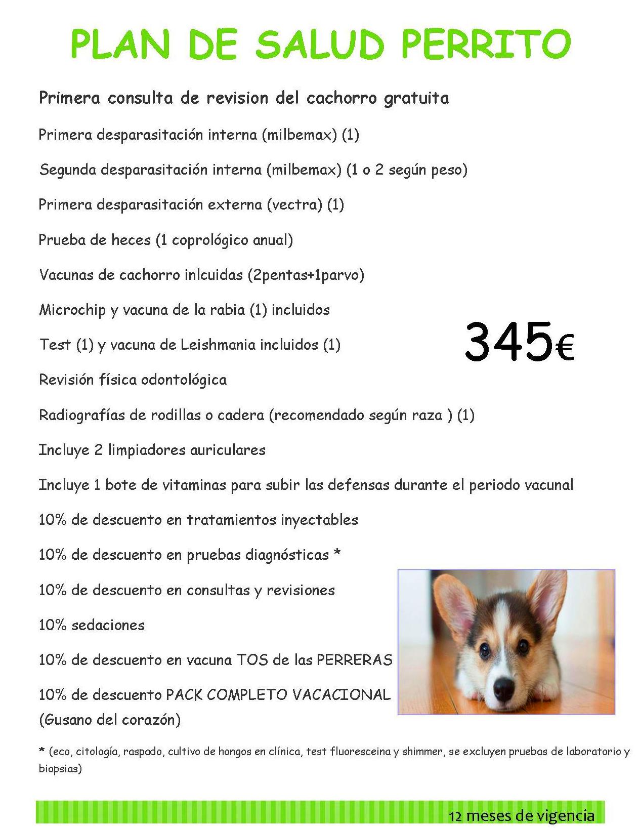 Plan de salud de perrito bebé Plan de salud de perrito bebé