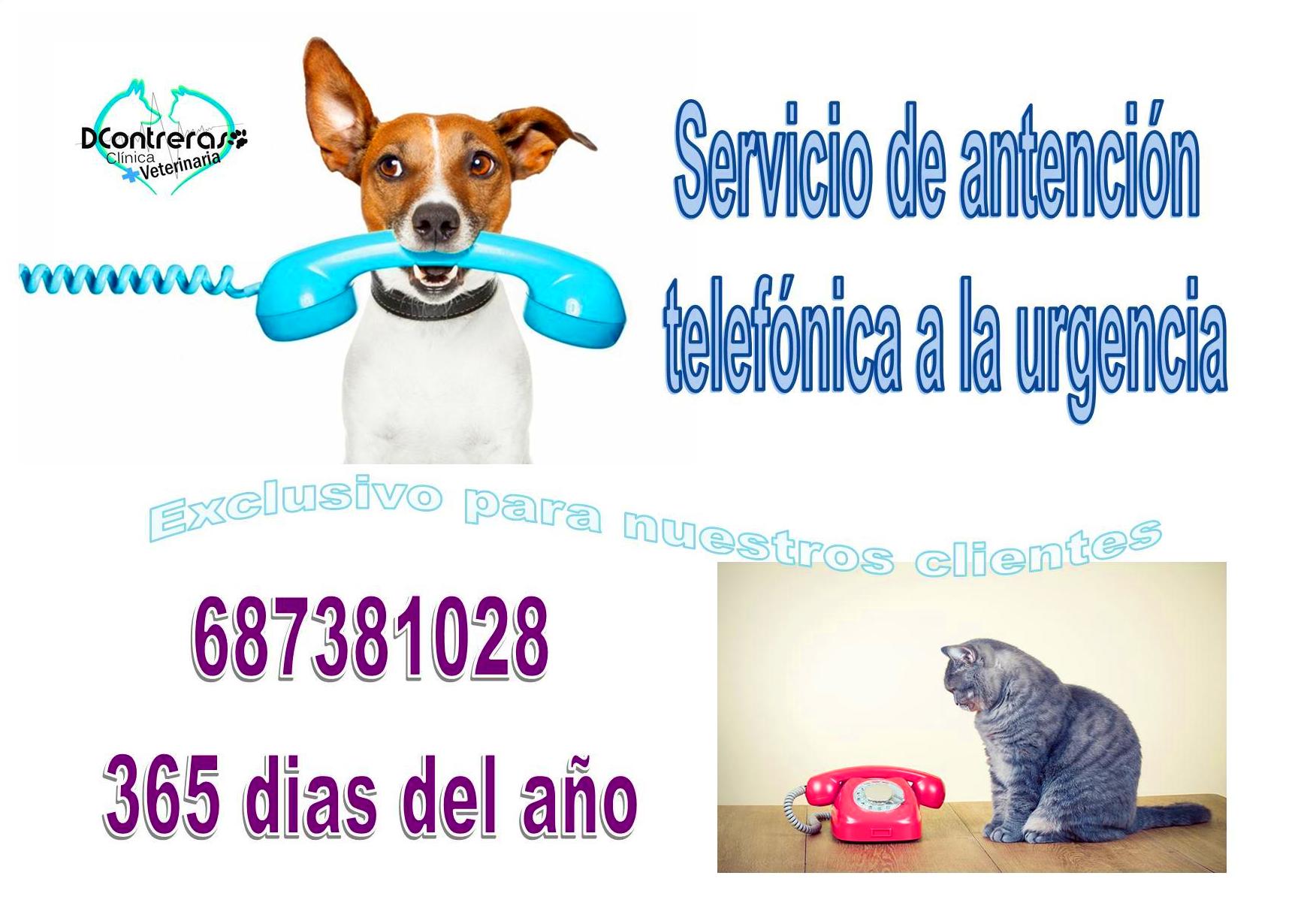Nuevo servicio de atención telefónica a la urgencia Nuevo servicio de atención telefónica a la urgencia