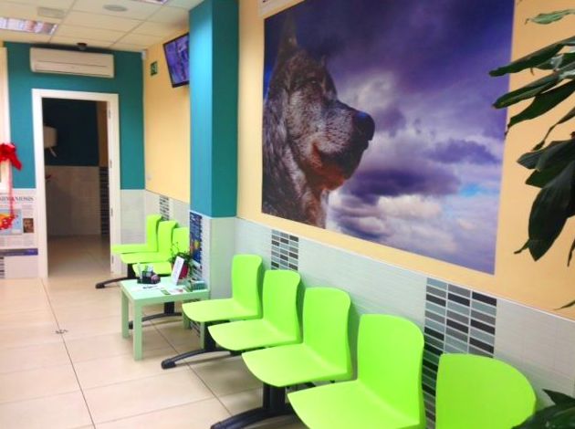 Sala de espera exclusiva para perros Sala de espera exclusiva para perros