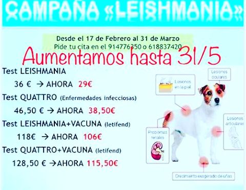 Campaña de LEISHMANIA: Servicios y ofertas de Clínica Veterinaria Dcontreras Campaña de LEISHMANIA: Servicios y ofertas de Clínica Veterinaria Dcontreras