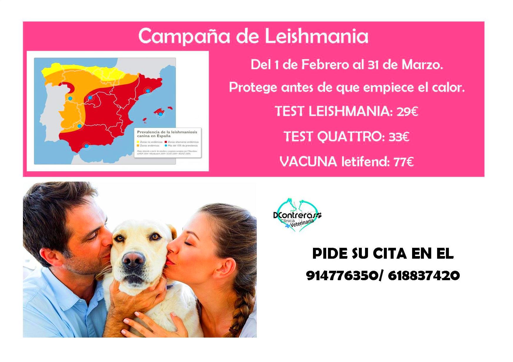 CAMPAÑA DE LEISHMANIA MADRID CAMPAÑA DE LEISHMANIA MADRID
