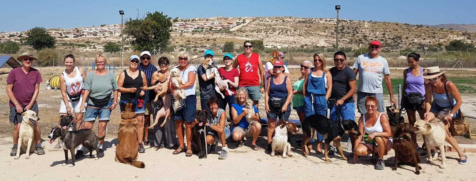 Cursos de socialización, adiestramiento y agility: Servicios de Hotel Canino y Felino El Rey de la Casa Cursos de socialización, adiestramiento y agility: Servicios de Hotel Canino y Felino El Rey de la Casa