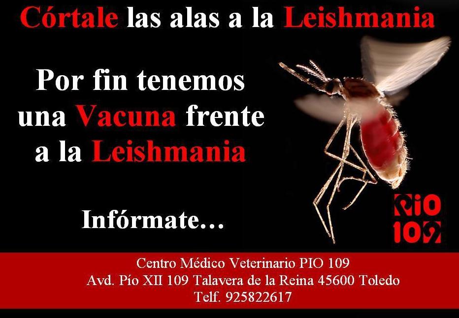 Foto 18 de Veterinarios en Talavera de la Reina | Centro Médico Veterinario Pío 109
