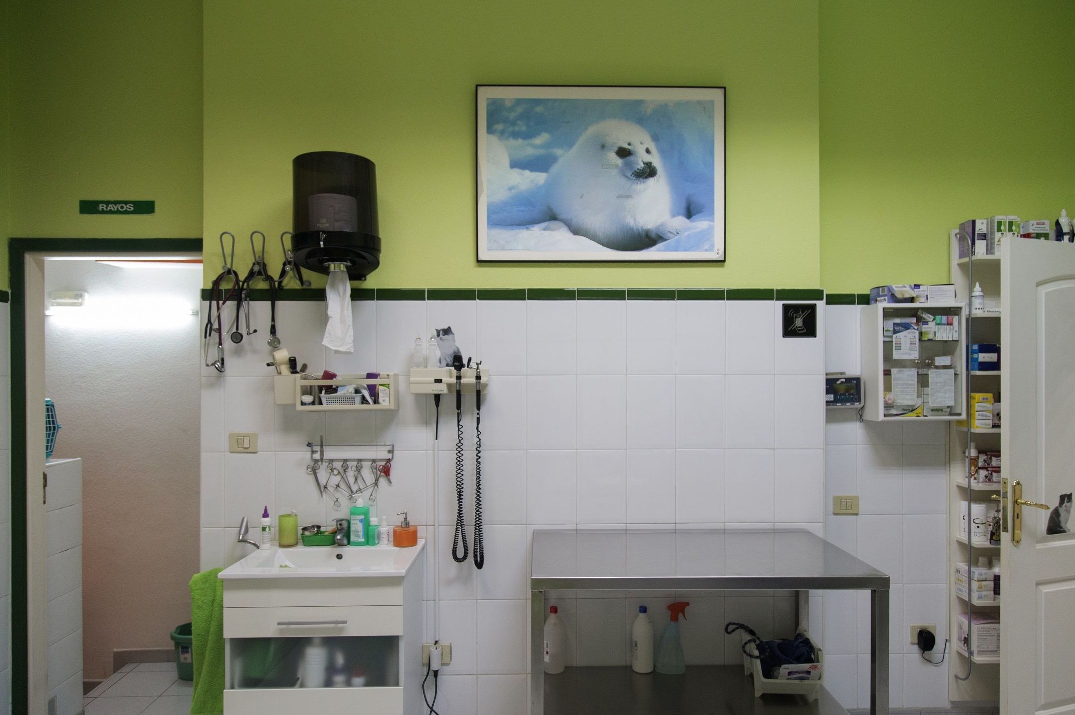 Clínica veterinaria en Santa Cruz de Tenerife