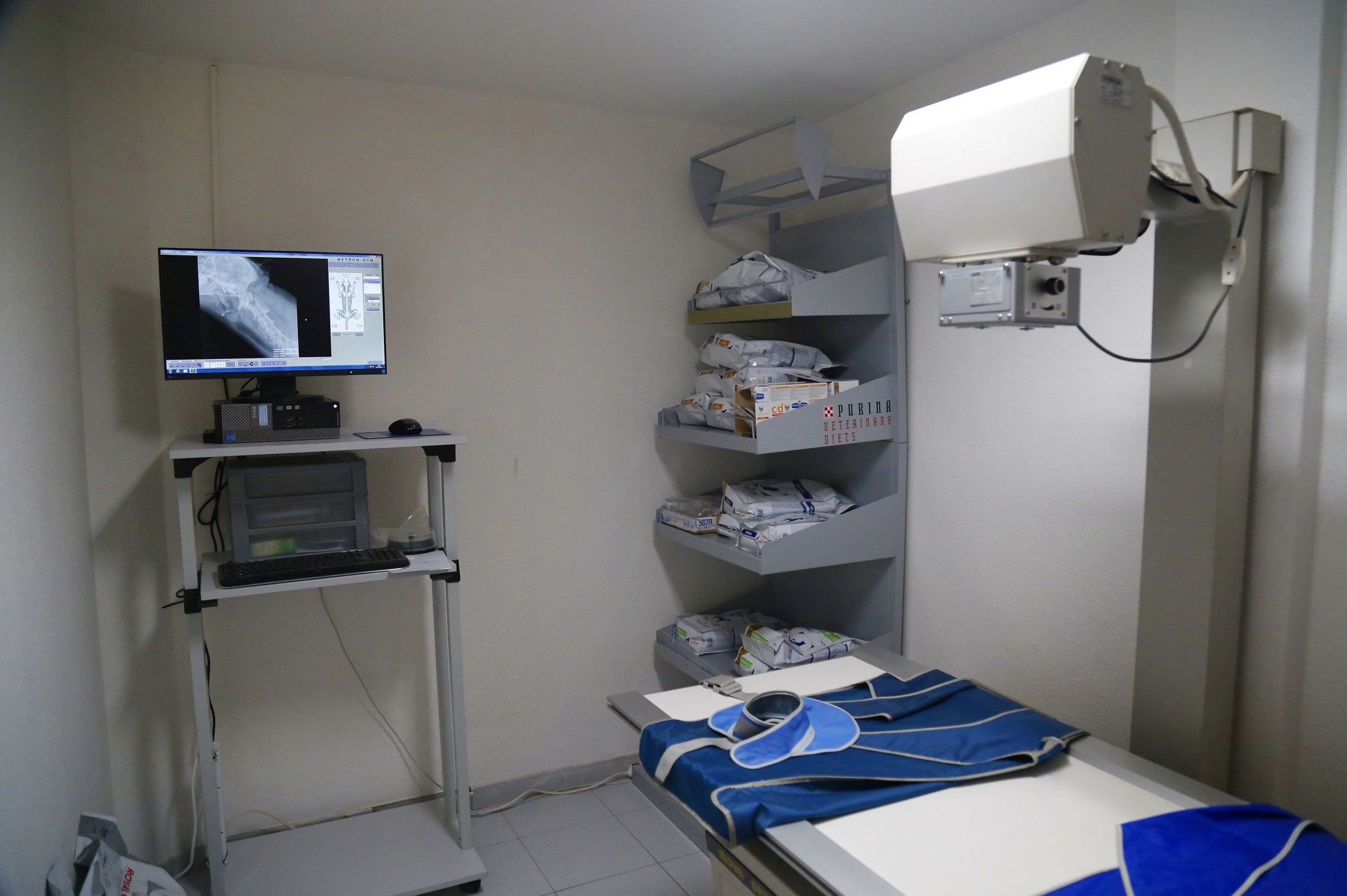 Radiología digital: Servicios de Clínica Veterinaria San Lucas