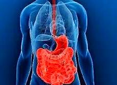 HIDROTERAPIA DE COLON: TRATAMIENTOS de Centro de Osteopatía Maite González HIDROTERAPIA DE COLON: TRATAMIENTOS de Centro de Osteopatía Maite González