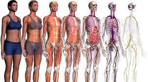 DIAGNOSTICO: TRATAMIENTOS de Centro de Osteopatía Maite González DIAGNOSTICO: TRATAMIENTOS de Centro de Osteopatía Maite González