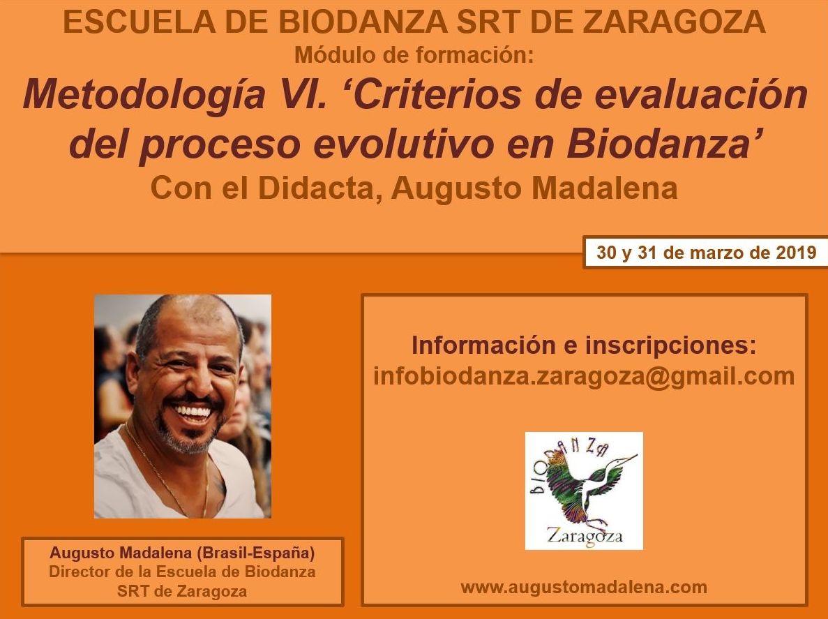 Metodología VI. Metodología VI.