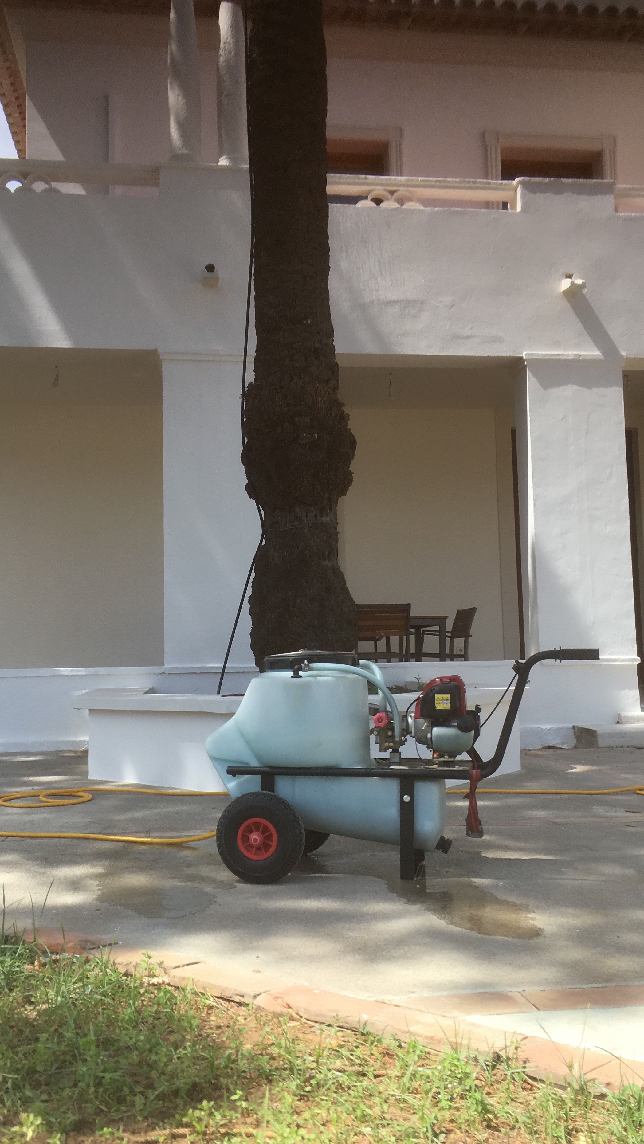 Fumigación contra el picudo: Servicios especializados de Jaime Sanchís Jardines y Piscinas Fumigación contra el picudo: Servicios especializados de Jaime Sanchís Jardines y Piscinas