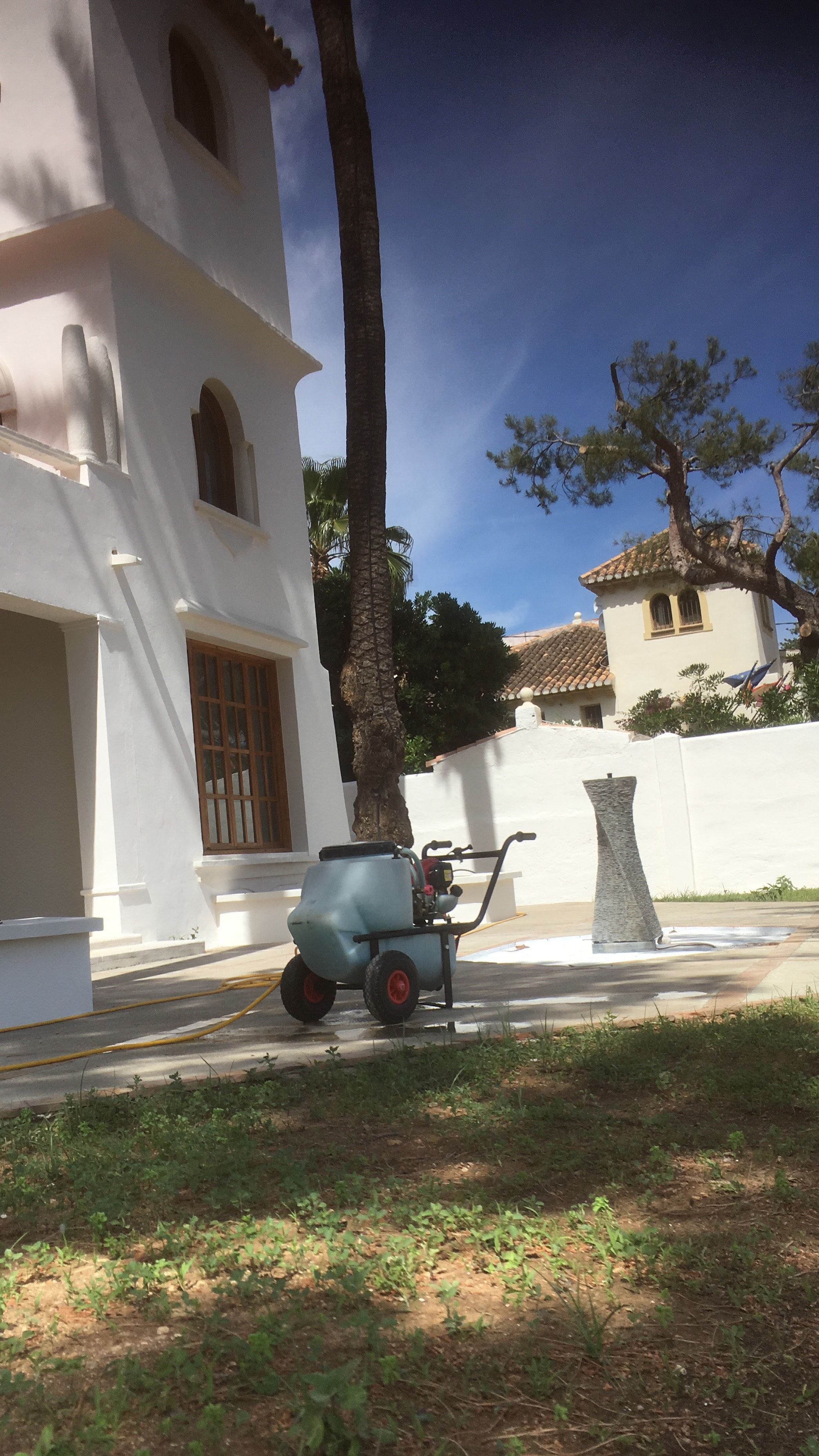 Fumigación contra el picudo: Servicios especializados de Jaime Sanchís Jardines y Piscinas Fumigación contra el picudo: Servicios especializados de Jaime Sanchís Jardines y Piscinas