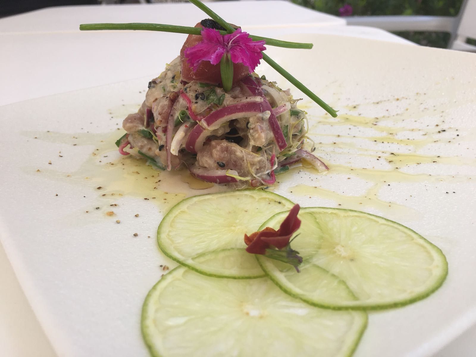 ceviche ceviche