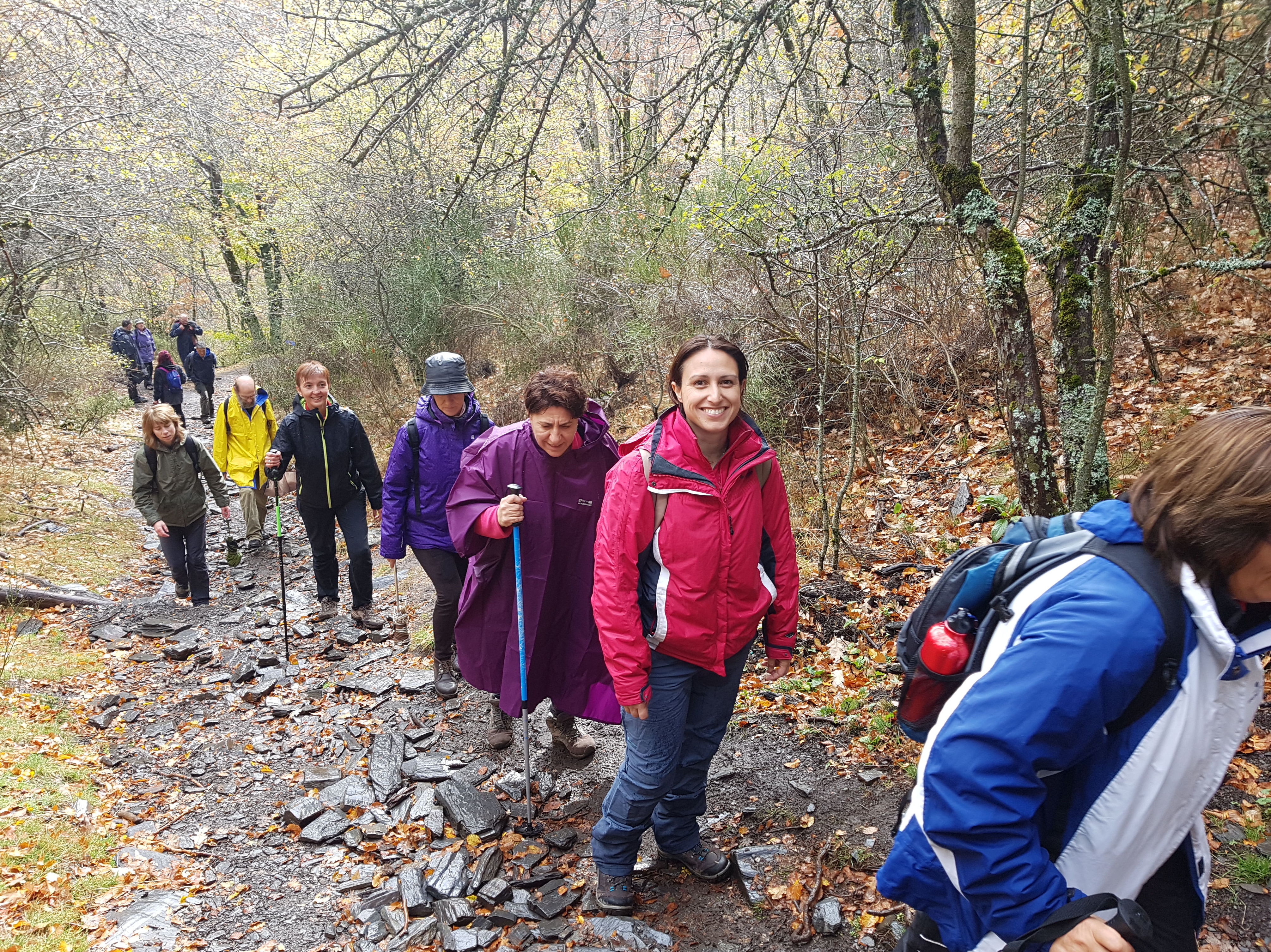 DIA 9 de Noviembre Senderismo Otoñal en el Hayedo de Tejeda Negra: CALENDARIO DE ACTIVIDADES de Asdón Multiaventura DIA 9 de Noviembre Senderismo Otoñal en el Hayedo de Tejeda Negra: CALENDARIO DE ACTIVIDADES de Asdón Multiaventura
