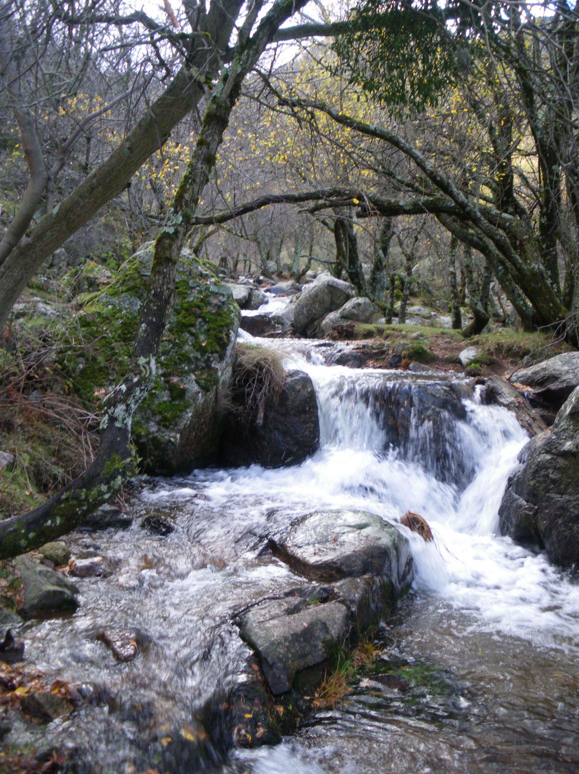 Dia 20 Octubre Senderismo Madrid Cascada del Pulgatorio: CALENDARIO DE ACTIVIDADES de Asdón Multiaventura Dia 20 Octubre Senderismo Madrid Cascada del Pulgatorio: CALENDARIO DE ACTIVIDADES de Asdón Multiaventura