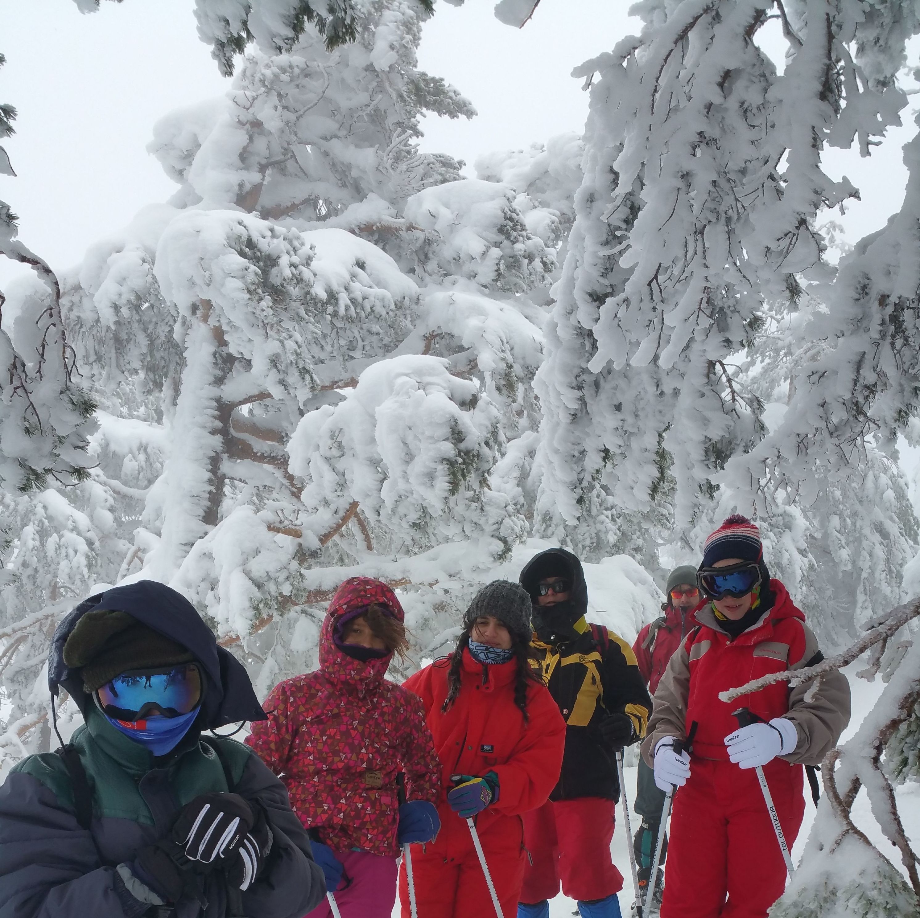 Enero, Febrero y Marzo RAQUETAS DE NIEVE: CALENDARIO DE ACTIVIDADES de Asdón Multiaventura Enero, Febrero y Marzo RAQUETAS DE NIEVE: CALENDARIO DE ACTIVIDADES de Asdón Multiaventura
