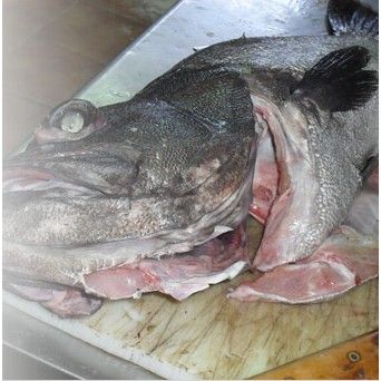 Pescados: Especialidades de Mijedo