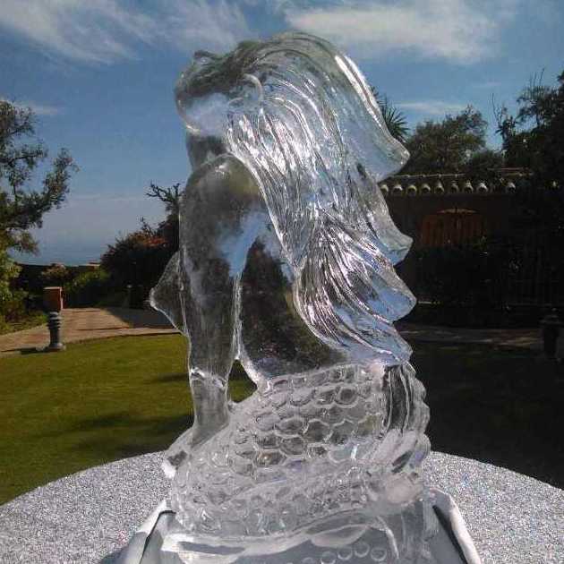Foto 49 de Distribución y venta de hielo en  | PUNTO CERO GRADOS