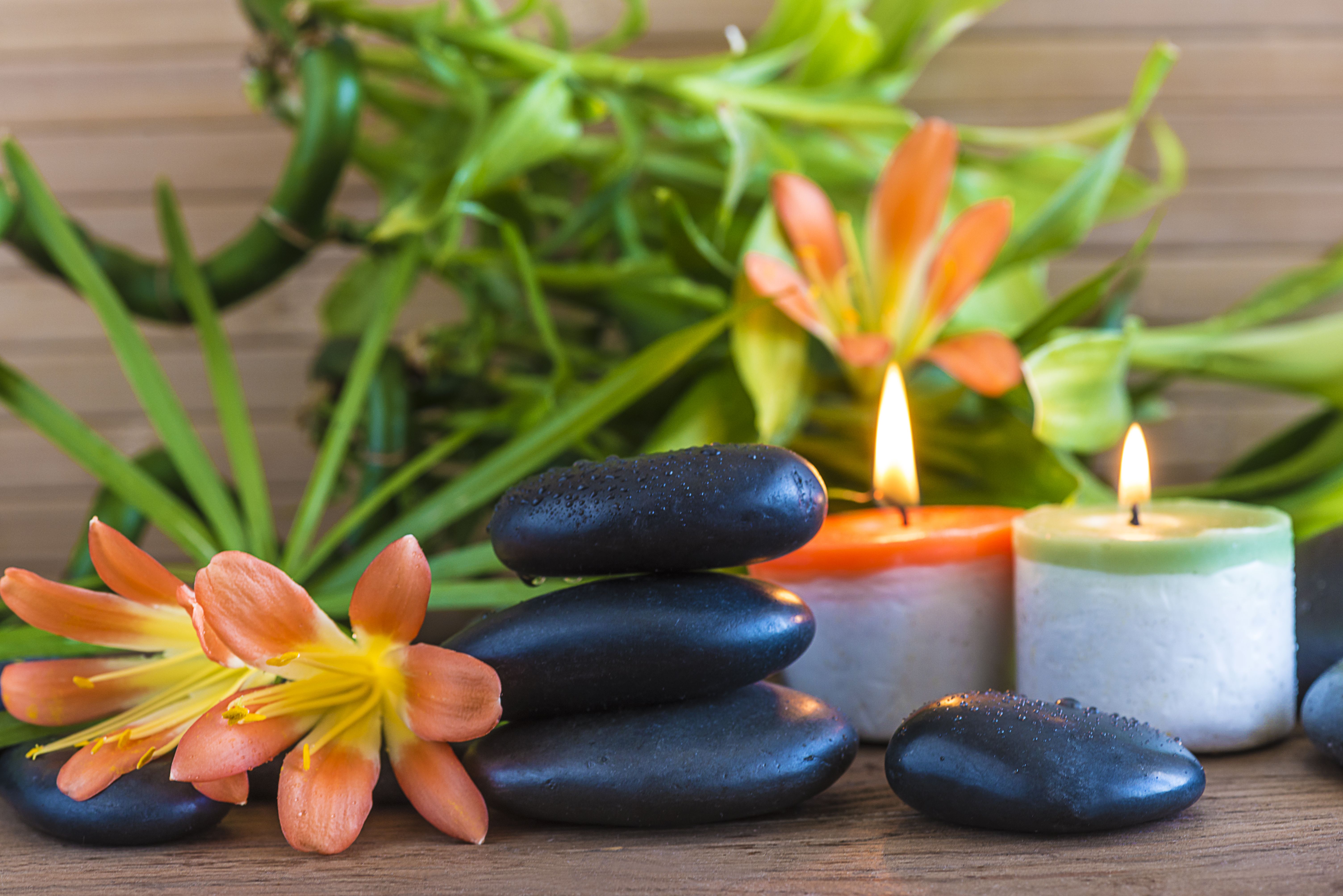 Reiki: Servicios de Herboristería E&E Prana Reiki: Servicios de Herboristería E&E Prana