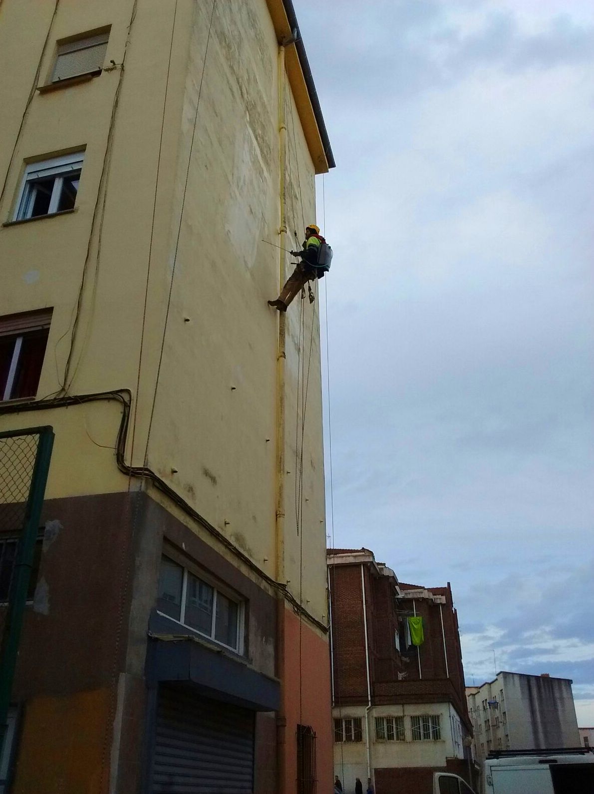Desinfección aplicación de fungicida. Desinfección aplicación de fungicida.