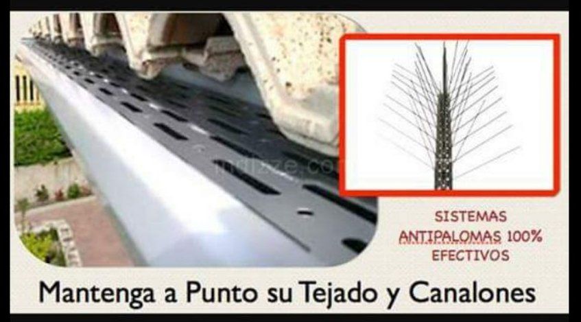 Pinchos antipalomas: Servicios de Canalones Estacio Pinchos antipalomas: Servicios de Canalones Estacio