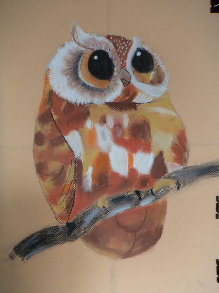 Acuarela : Servicios de Inicios Academia de Dibujo Acuarela : Servicios de Inicios Academia de Dibujo