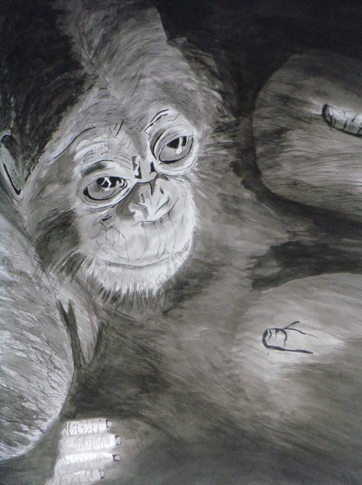 Tinta china : Servicios de Inicios Academia de Dibujo Tinta china : Servicios de Inicios Academia de Dibujo