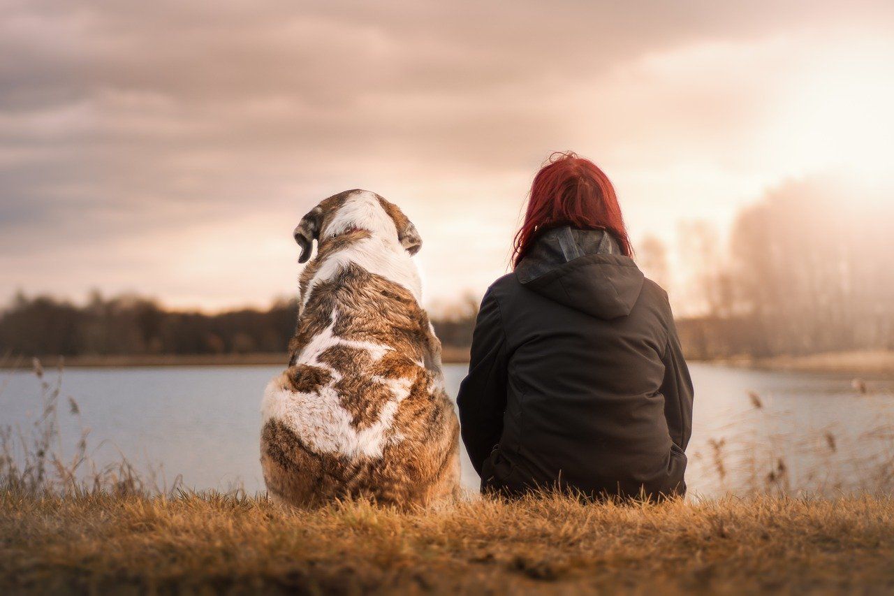 Doulas del alma animal: Servicios de El Ca Rosa Doulas del alma animal: Servicios de El Ca Rosa